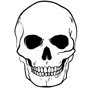 Skull Big Black