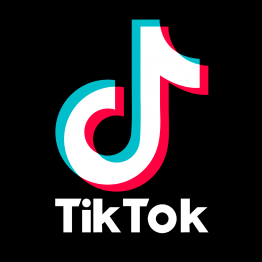 TikTok Logo 2