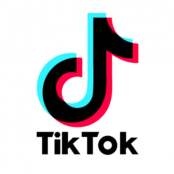 TikTok Logo 3