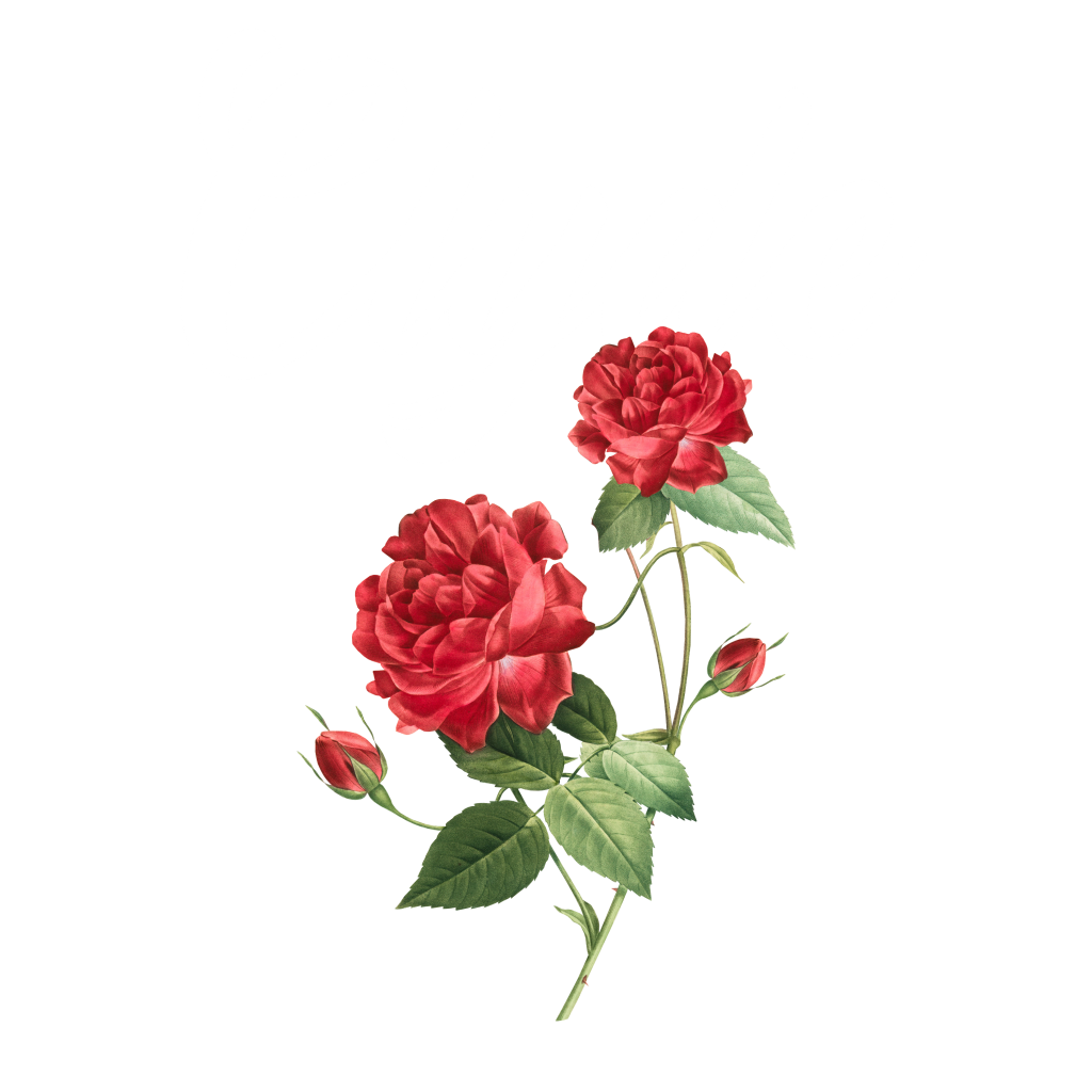 Clyde Rose