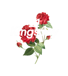 Kingsday Rose