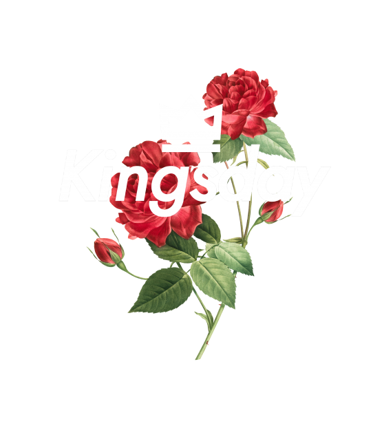 Kingsday Rose