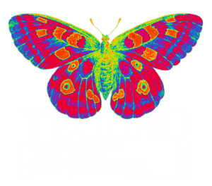 Techno Vlinder