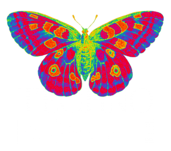 Techno Vlinder